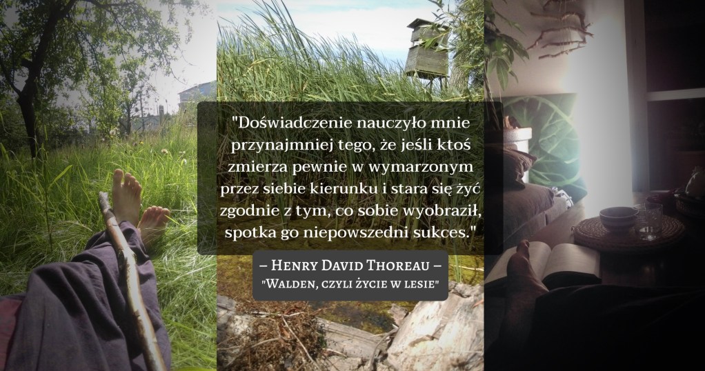 Walden, czyli Życie w Lesie | H.D. Thoreau –inspirujący cytat i